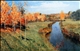 Golden Autumn